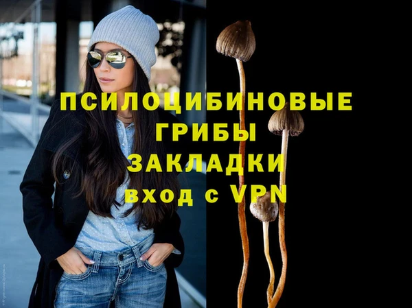 дмт Видное