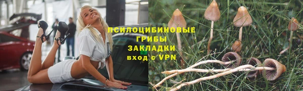 дмт Абаза
